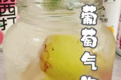 冰葡萄气泡饮