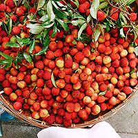 云南水果宴~荔枝炖鸡的做法图解1