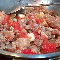 番茄炖牛腩的做法图解4