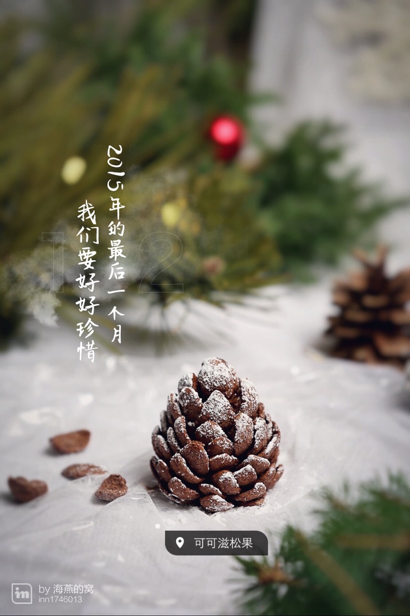 圣诞可可滋松果的做法图解12