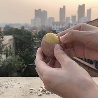 自制变蛋（皮蛋）——地道的传统做法无铅配方的做法图解13