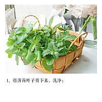 清新薄荷糖浆的做法图解1
