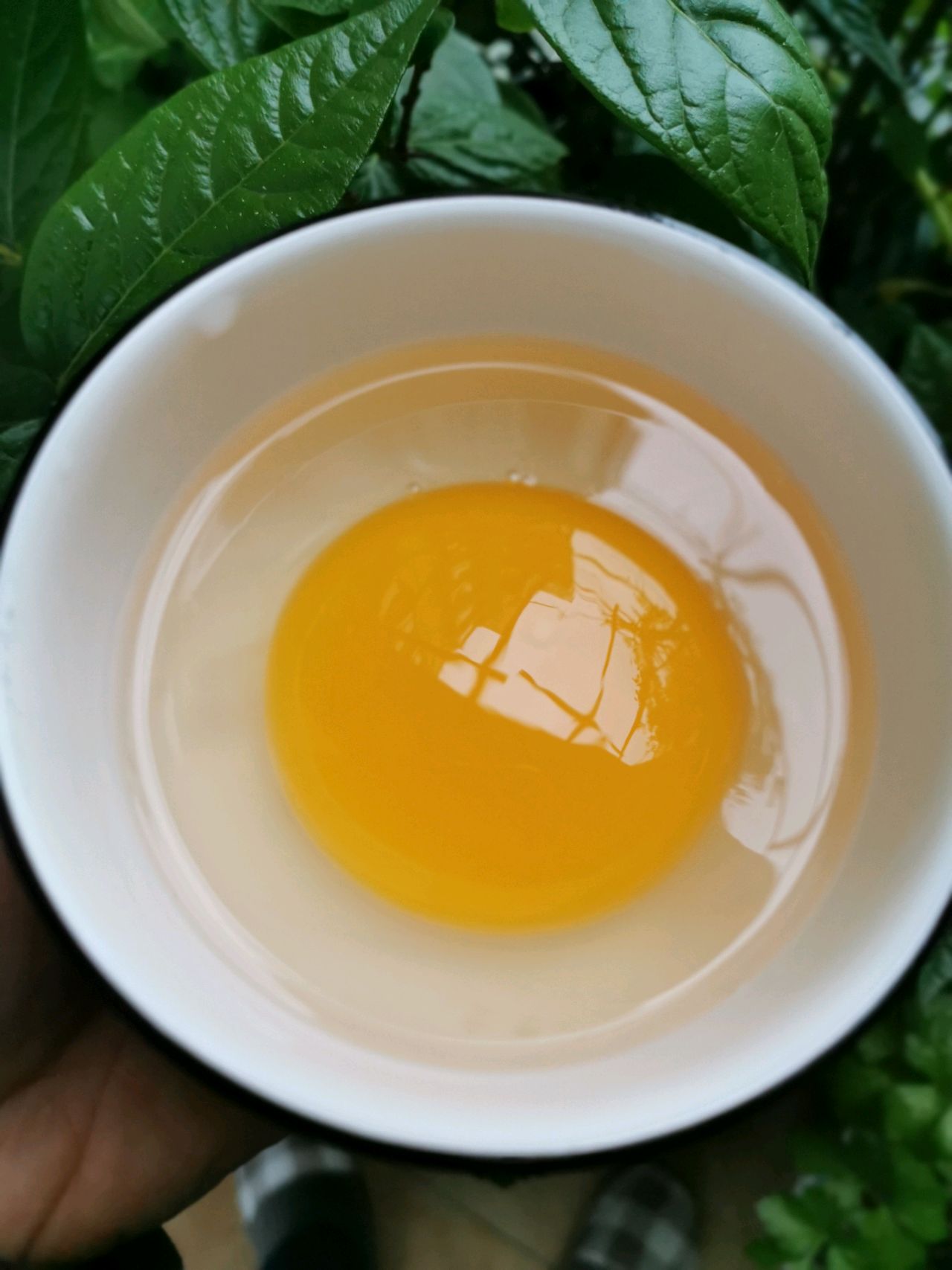 椿芽炒鹅蛋怎么做_椿芽炒鹅蛋的做法_豆果美食