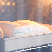 #美味烤箱菜，就等你来做！#无油无糖全麦欧包的做法图解12