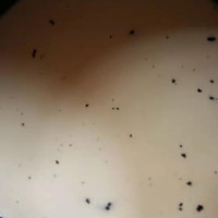香草奶冻的做法图解3
