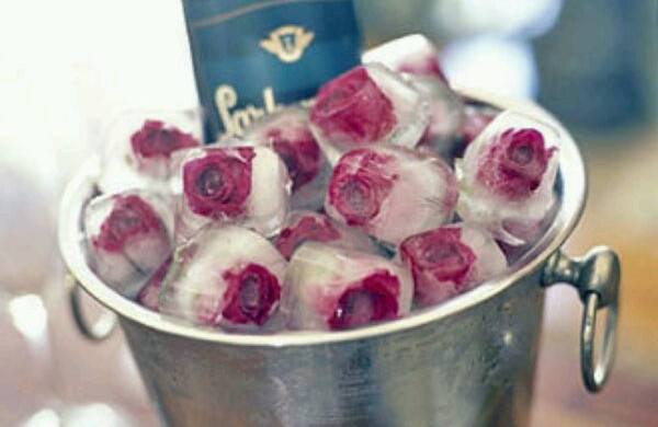 冻玫瑰