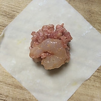春笋虾肉混沌-一口一只虾的做法图解3