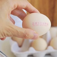 超简易脆香芝士鸡肉饼的做法图解9