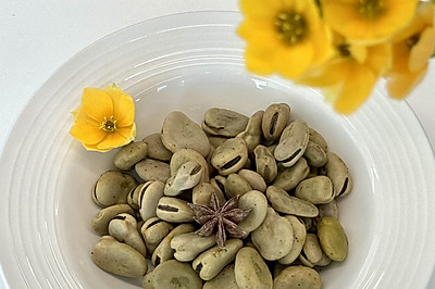 超简单的茴香豆