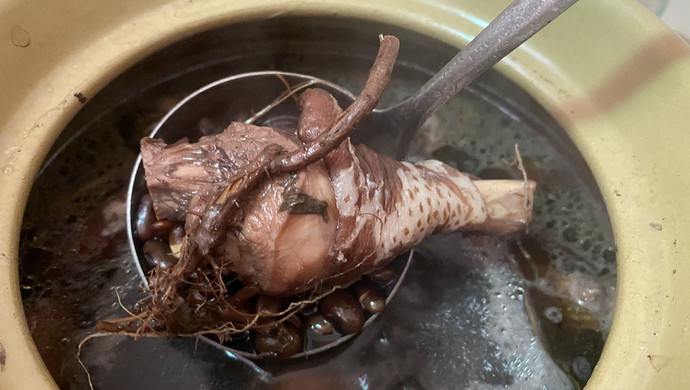 艾茎黑豆炖土鸡汤