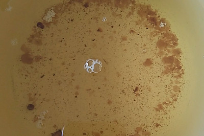 酥皮点心必备之猪油