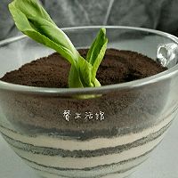 油菜盆栽木糠杯的做法图解8