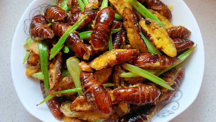 干煸蝉蛹