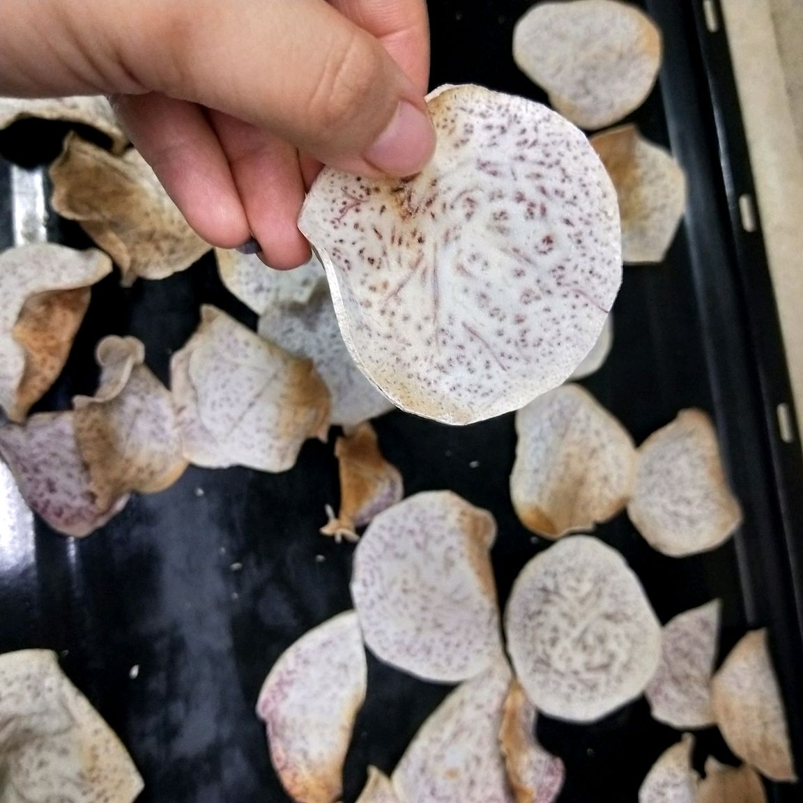 Baked taro slices