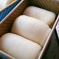 北海道土司——直接法的做法图解10