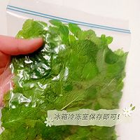 鲜薄荷叶保存法的做法图解8
