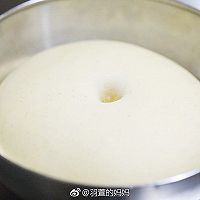 香草牛奶面包（波兰种）的做法图解8