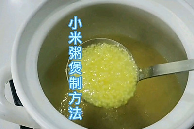 小米粥煲制方法