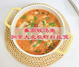 #立冬第一补#番茄酸汤鱼加拿大北极虾粉丝煲的做法