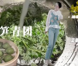 青团 艾草团的做法