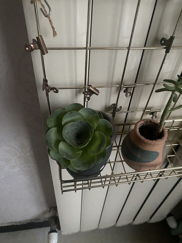 番茄锅的做法