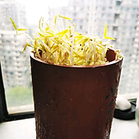 银芽鸡丝的做法图解1