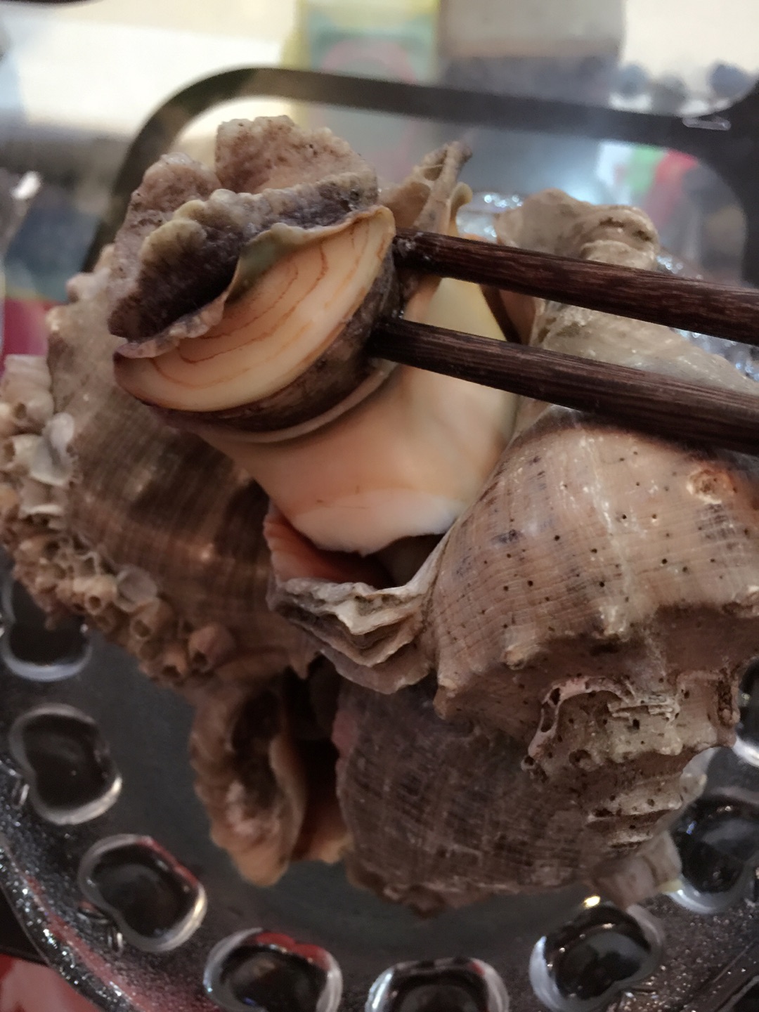 白灼海螺怎么做_白灼海螺的做法_豆果美食