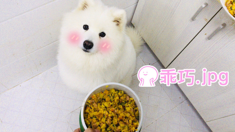 狗狗食谱的做法