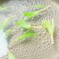 香菜根煮水 6+宝宝辅食的做法图解3