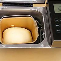 肉松沙拉酱面包的做法（汤种）的做法图解8