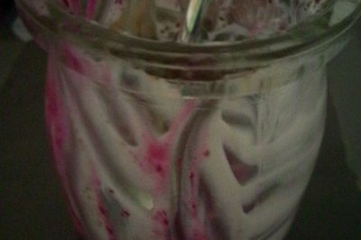 露西美食之蓝莓盆栽酸奶