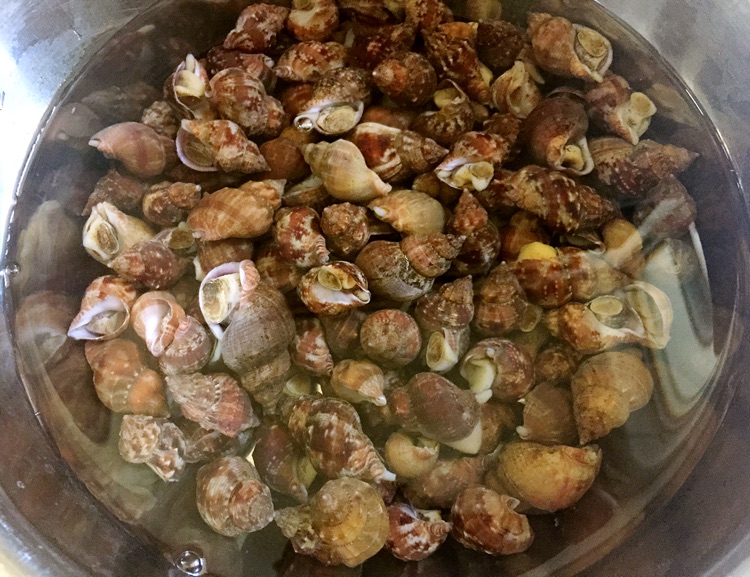 蒜蓉辣椒酱爆炒香螺的做法图解1