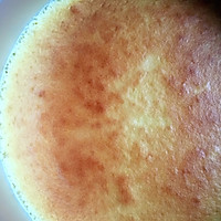 入口即化的轻乳酪蛋糕的做法图解12