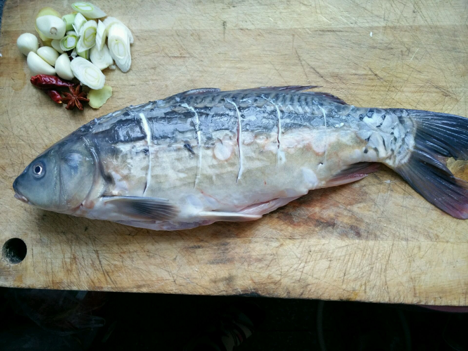 红烧鲤鱼怎么做_红烧鲤鱼的做法_康乃馨的香_豆果美食