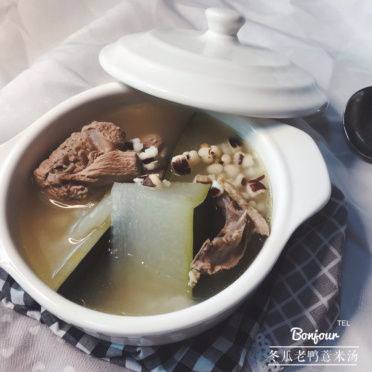 冬瓜老鸭薏米汤的做法