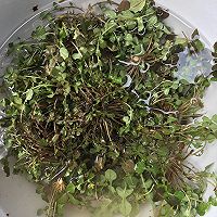 猪肉荠菜炖粉条的做法图解2