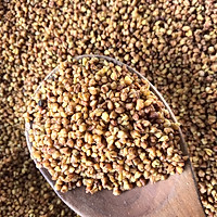 苦荞麦茶的做法图解3