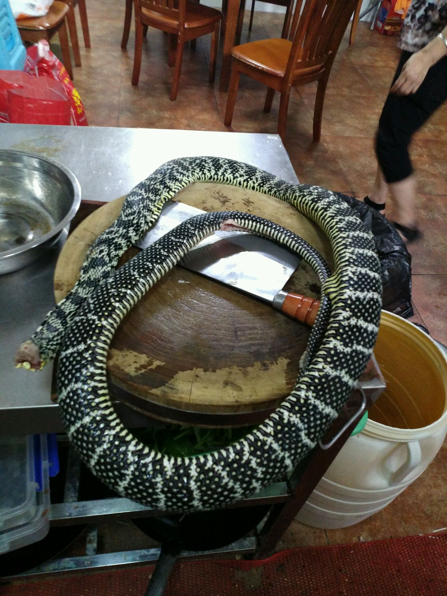 清炖蛇汤怎么做_清炖蛇汤的做法_豆果美食