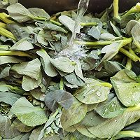 #米饭最强CP# 快手小炒菜薹干的做法图解1