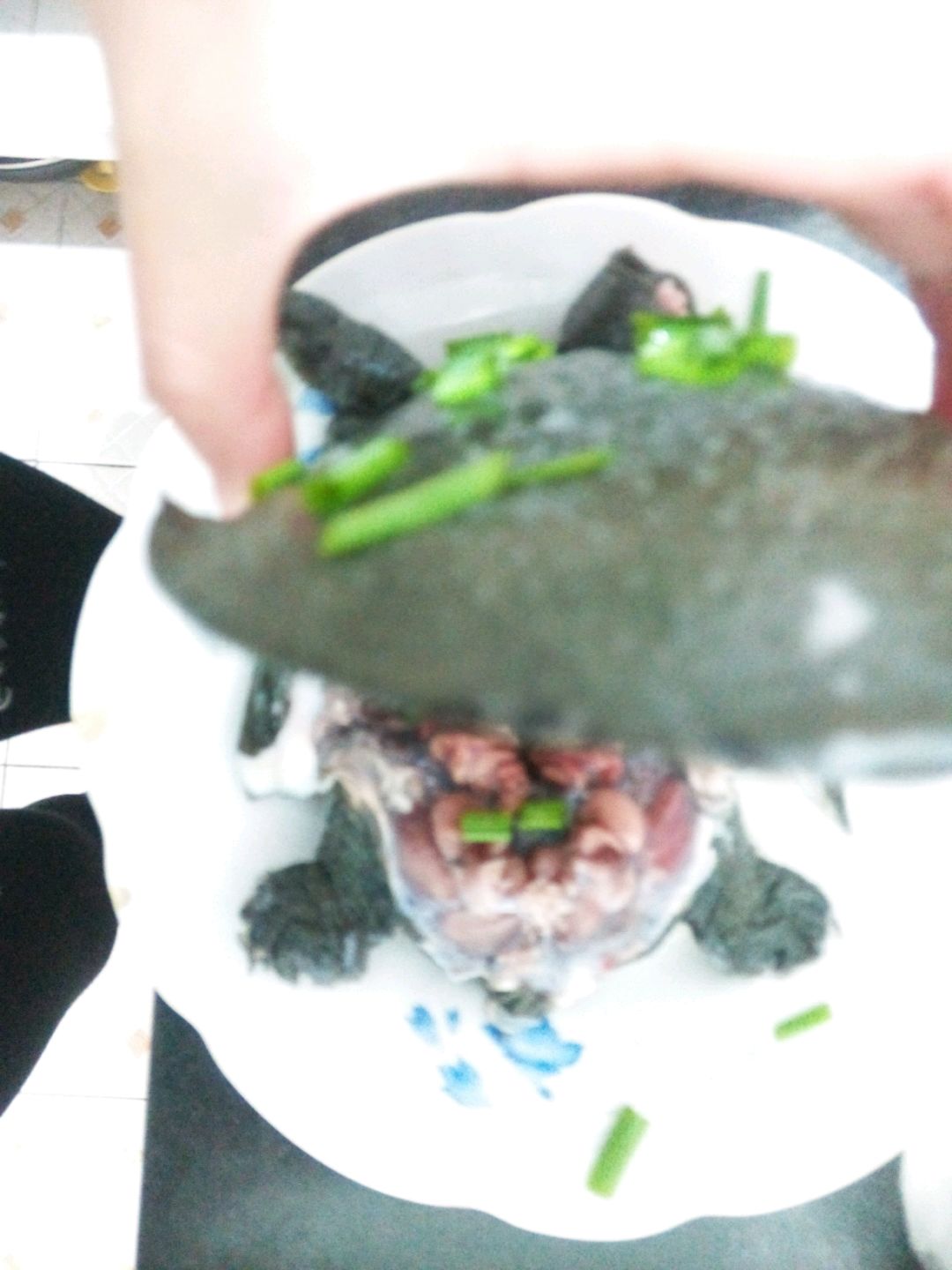 黄甲鱼豆腐汤怎么做_黄甲鱼豆腐汤的做法_豆果美食