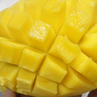夏日甜品——芒果西米捞的做法图解4