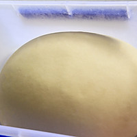 布里欧修辫子面包（5、6股辫）的做法图解5