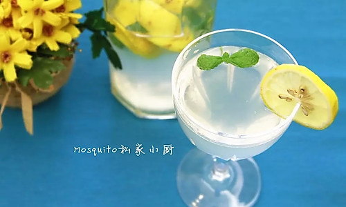 柠檬薄荷冰饮【Mosquito私家小厨】的做法