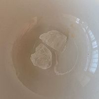 米饭绝配～小鸡炖蘑菇的做法图解5