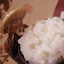 小白手册｜你真的会煮米饭吗？
