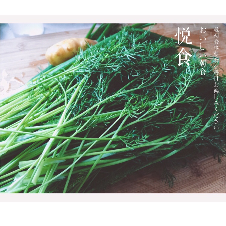 茴香饺子