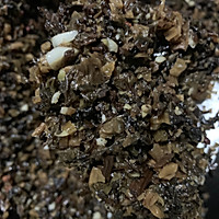 咸烧白（梅菜扣肉）的做法图解16
