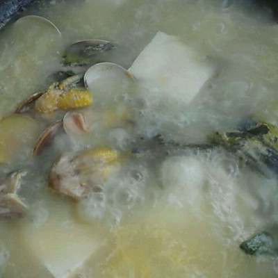 黄辣丁花蛤豆腐汤
