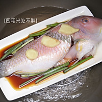清蒸鹦鹉鱼的做法图解5