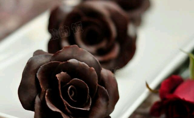 巧克力玫瑰
